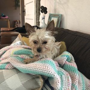 Meet your Posher, Kim